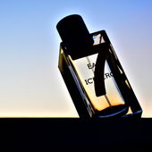 Photo theme 1 @Fresh 7 pm and 4 minutes... sunset on the roof window... we go from topics 1 to 2  :) (von Zelena)