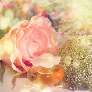 Fleur de Fleurs (Eau de Toilette) - Nina Ricci