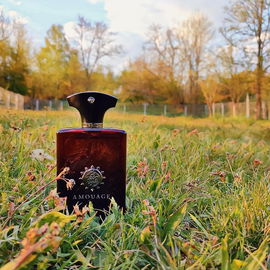 Lyric Man - Amouage