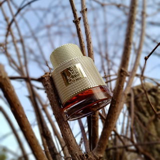 Qaa'ed / قايد von Lattafa