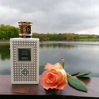 Rose de Mai - Perris Monte Carlo