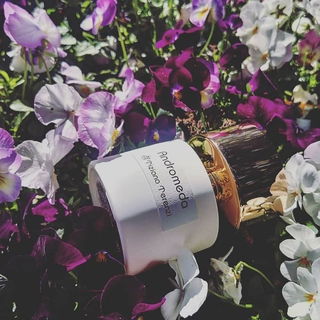 Andromeda (Extrait de Parfum) - Tiziana Terenzi