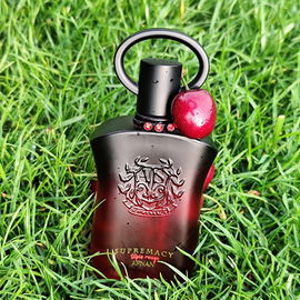 Supremacy Tapis Rouge - Afnan Perfumes