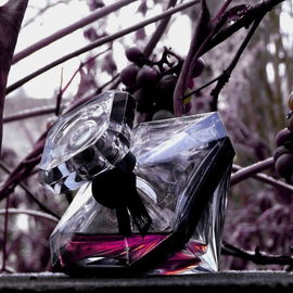 La Nuit Trésor L'Eau de Parfum - Lancôme