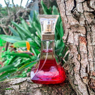 Heat (Eau de Parfum) - Beyoncé