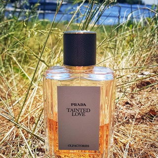 Tainted Love - Prada