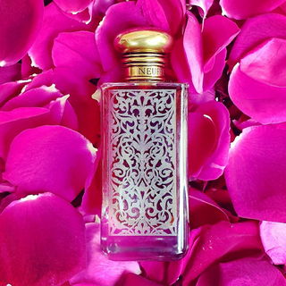 Per Fumum: A Sanctified Rose von Annette Neuffer