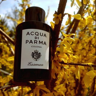 Colonia Essenza (Eau de Cologne) by Acqua di Parma
