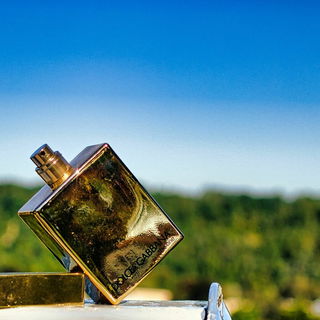 The One for Men Gold - Dolce & Gabbana