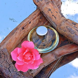 Rosewood - Banana Republic