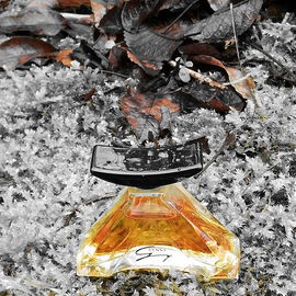 Rest in Peace, danach zerbrach er in 1000 Stücke...