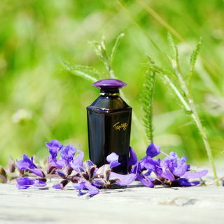 Tapage von Avon