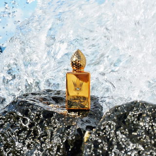 Soleil de Jeddah Mango Kiss - Stéphane Humbert Lucas