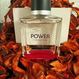 Power of Seduction - Banderas