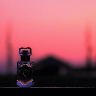 Viareggio, Toscana 2019. Ich wollte dieses Jahr wieder dahin...Vielen Dank für so viel Zuspruch ❤️