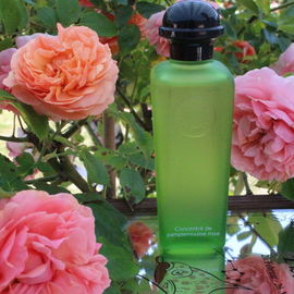 Concentré de Pamplemousse Rose - Hermès