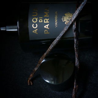 Vaniglia (Eau de Parfum) - Acqua di Parma