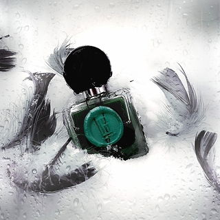 Der Nymphensittich hat Federn gelassen 😉