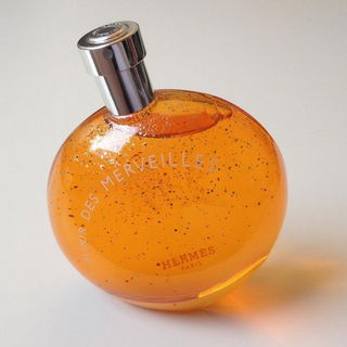 Elixir des Merveilles von Hermès
