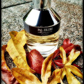 Collezione Privata - Cuoio - Pal Zileri