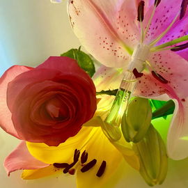 As she lays in the caress of the delecate petals,petite yet strong, she draws their magnificint fragrance. Her light begins to shine bright as she prepares for the day she blooms and gifts us with her mystical scent of Rose De Mai