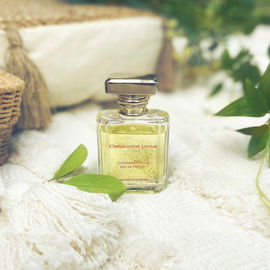 Osmanthus (Eau de Parfum) - Ormonde Jayne