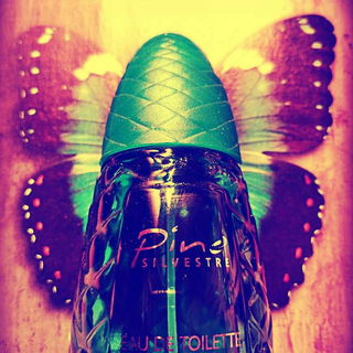 Pino Silvestre (Eau de Toilette) von Pino Silvestre