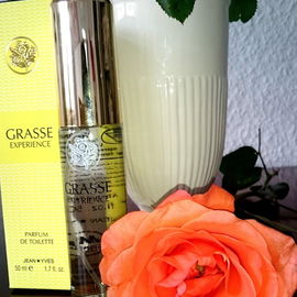 Grasse Experience - Milton-Lloyd / Jean Yves Cosmetics
