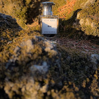 Peau d'Orris - Wasif Reza