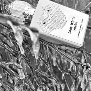 Lady White Snake by Stéphane Humbert Lucas