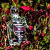 5 ml Miniatur (by 008Pauline)