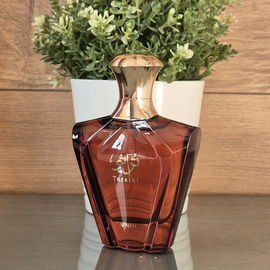 Turathi (Brown) - Afnan Perfumes