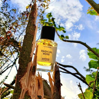 Radical Rose (Eau de Parfum) - Matière Première