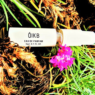 Die Wurzeln aus Gualtieris Garten