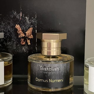 Domus Numeni by Toskovat'