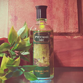 Russian Forest / Русский лес by Nóvaya Zaryá