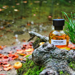 Post Hume von Son Venïn