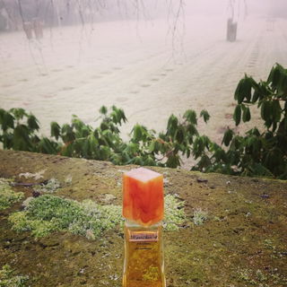 Revillon 4 - Revillon