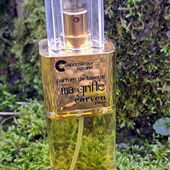 Im Frühlingsmoos 😀 (von JonasP1)