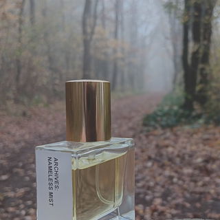 Nameless Mist von Kamila Aubre