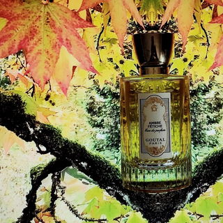 Ambre Fétiche (Eau de Parfum) von Goutal