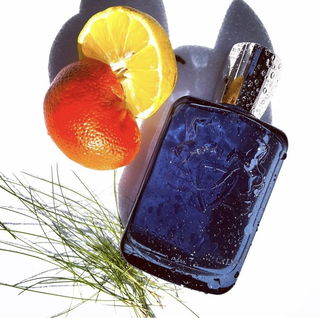 Sedley by Parfums de Marly