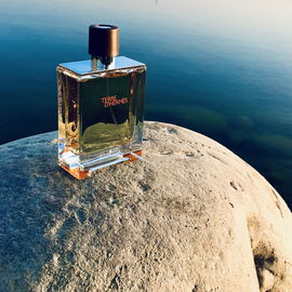 Terre d'Hermès Eau Intense Vétiver - Hermès