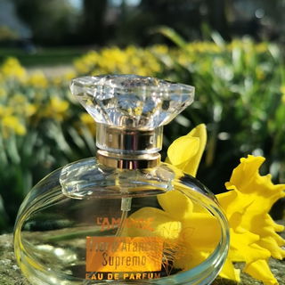 Fior d'Arancio Supremo - L'Amande