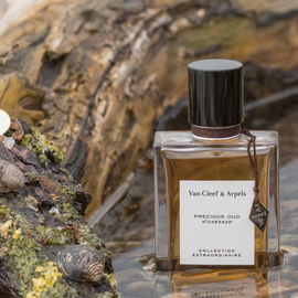 Precious Oud - Van Cleef & Arpels