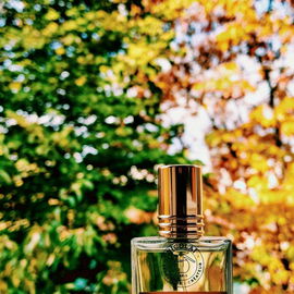 Patchouli Intense / Patchouli Homme (Eau de Parfum) - Nicolaï / Parfums de Nicolaï