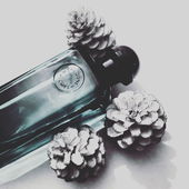 Auch im Winter eiskalt erfrischt... (von Rivegauche)