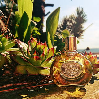 Parfum d'Hermès (Eau de Toilette) - Hermès