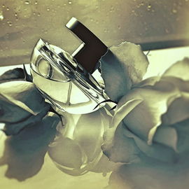 Absolu - Rochas