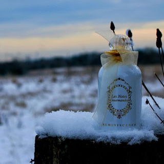 🌸...mit feiner Mandelblüte übers schneebedeckte Feld ❄️...ganz lieben Dank für Eure herzlichen Kommentare - ich freue mich sehr 🥰🌸